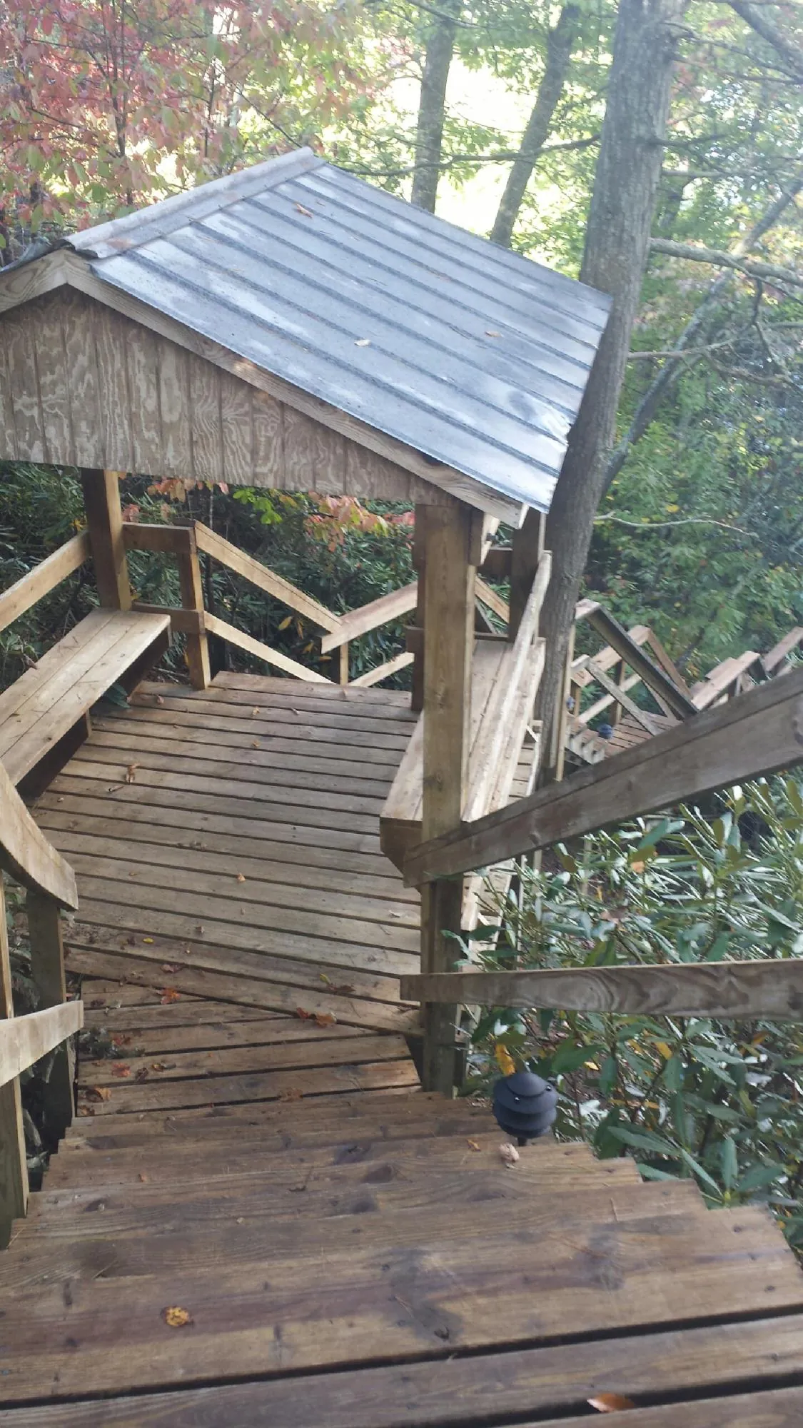 Metal roofed shelter over wooden steps on a wooded walkway in Collins